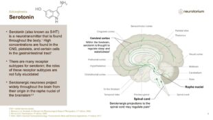 Schizophrenia – Neurobiology and Aetiology – slide 15
